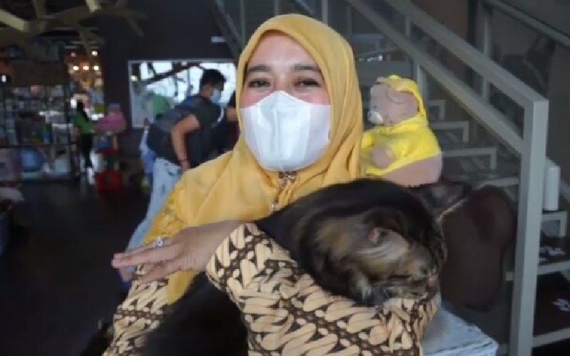 Berkunjung ke Lembang Park Zoo, Istri Wagub Jabar Senang Menggendong Kucing