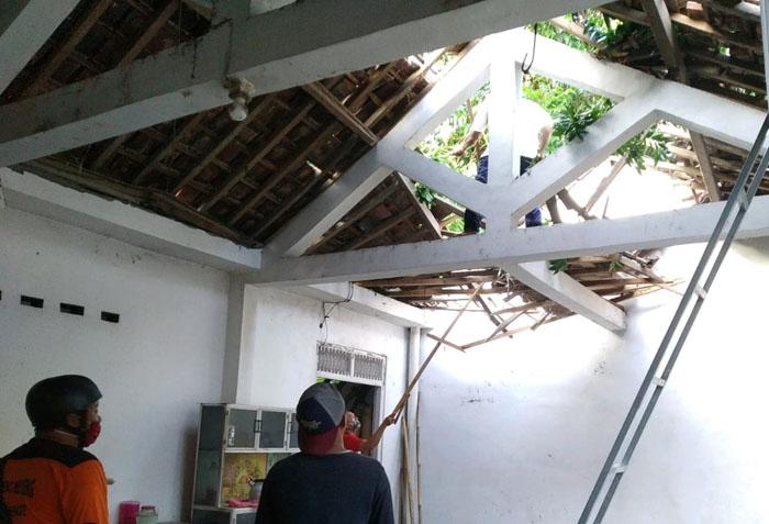 Pohon Tumbang di Sleman Timpa Rumah Warga, Satu Orang Terluka 