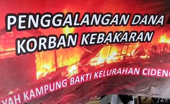 Video Pemuda di Cideng Jakarta Lelang Ikan Cupang Bantu Korban Kebakaran