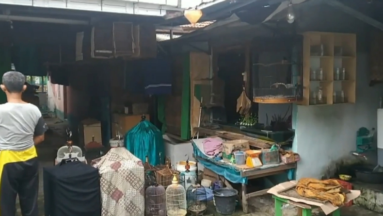 Penghasilan Terdampak Pandemi Covid-19, Penjual Burung di Prabumulih Berkicau