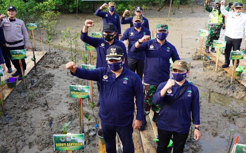 629 Warga Sumsel Dapat Program Bantuan Padat Karya Penanaman Mangrove