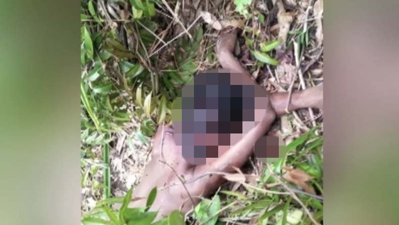 Dipergoki Selingkuh, Paman dan Bibi Bunuh Keponakan lalu Buang Mayat ke Semak