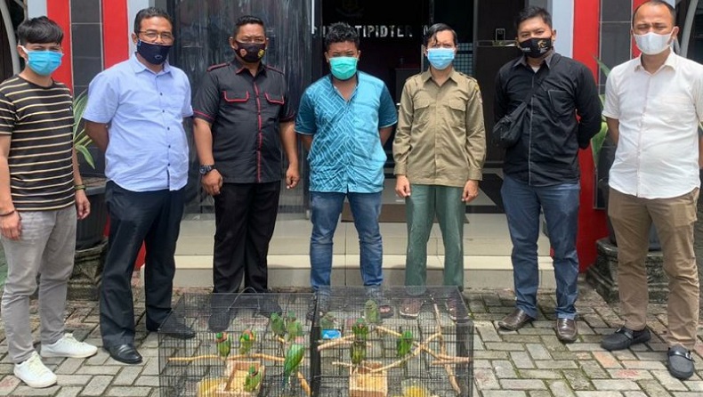 Polisi Ungkap Perdagangan Satwa Ilegal Burung Betet di Banjar