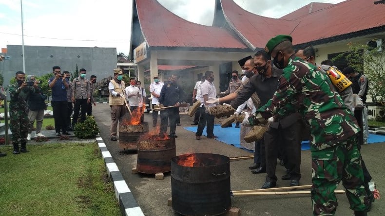 Musnahkan Barang Bukti, Polres Limapuluh Kota Bakar 134 Kg Ganja