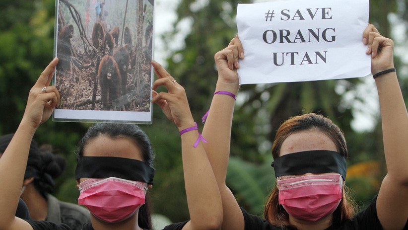 Aksi Damai Selamatkan Hutan Indonesia - Bagian 2