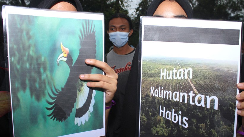 Aksi Damai Selamatkan Hutan Indonesia - Bagian 1