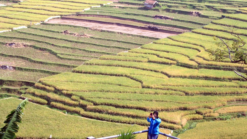Melepas Penat dengan Berwisata ke Persawahan Ciboer Pass di Kaki Gunung Ceremai - Bagian 1
