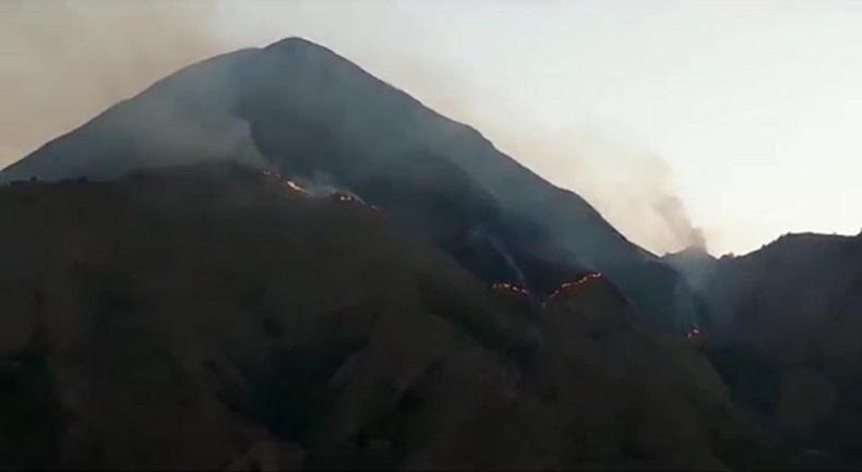  Cuaca Panas, 15 Hektare Padang Savana Lereng Rinjani di Sembalun Lombok Timur Terbakar