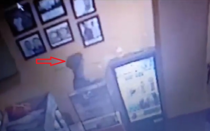 Terekam CCTV, Pencuri di Medan Sempat Makan hingga Minum saat Bobol Rumah Warga