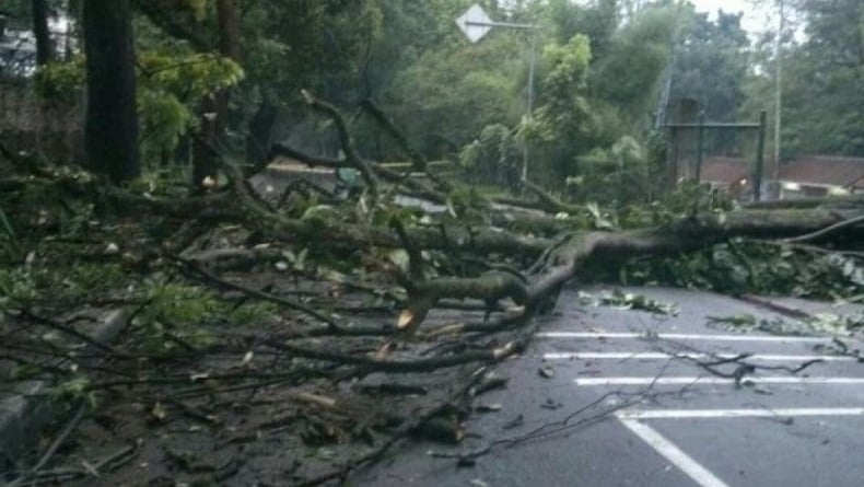 Pemkot Bandung Beri Santunan dan Jamin Asuransi bagi Korban Pohon Tumbang di Tamansari
