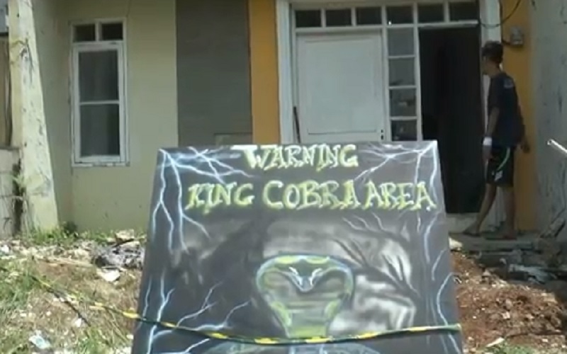 title Usai Tangkap 12 Ekor Anakan King Kobra, Warga Bekasi Kembali Temukan Ular di Dapur Usai Tangkap 12 Ekor Anakan King Kobra, Warga Bekasi Kembali Temukan Ular di Dapur
