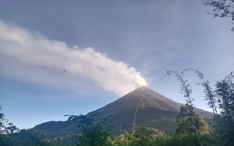 Kawah Gunung Karangetang Keluarkan Asap Tebal Setinggi 50 Meter