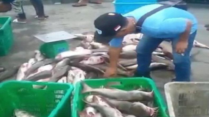 Nelayan Bangka Panen 10 Ton Ikan di Lokasi Bekas KIP Timah