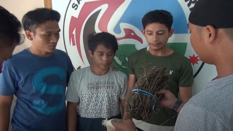 Bawa Sekarung Ganja Kering, 2 Remaja di Madina Ditangkap