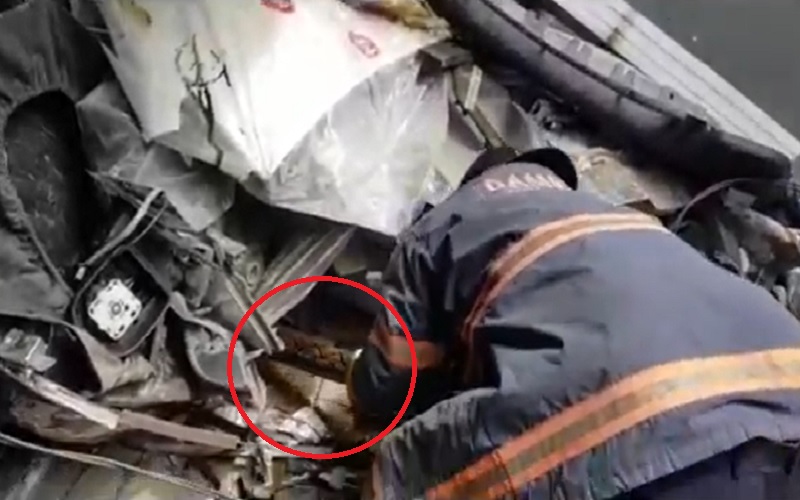 Evakuasi Piton Terjebak di Tumpukan Onderdil Mobil, Tangan Petugas Damkar Digigit