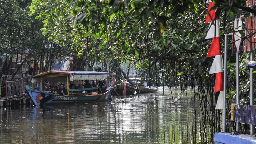 Hutan Mangrove Sungai Jingkem, Destinasi Wisata Tersembunyi di Bekasi - Bagian 2