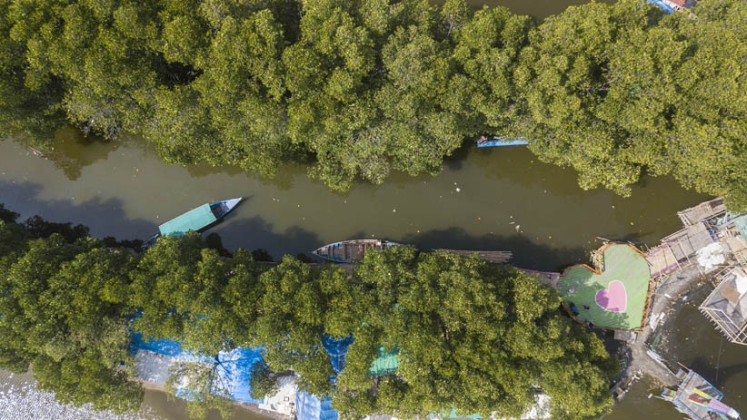 Hutan Mangrove Sungai Jingkem, Destinasi Wisata Tersembunyi di Bekasi - Bagian 1