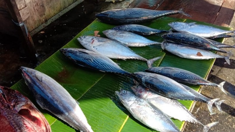 Ikan Di Pasar Homecare24