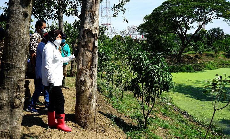 Atasi Banjir, Risma Bangun Tahura di Wilayah Surabaya Barat