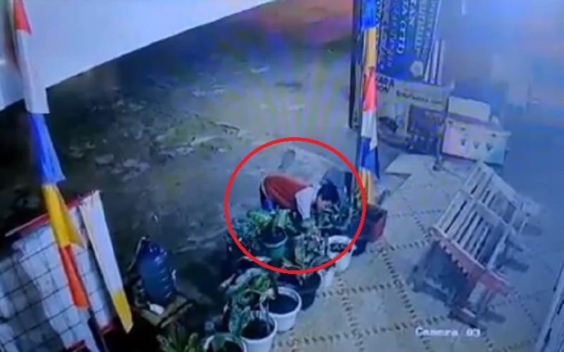 Terekam CCTV, Pemuda di Jambi Curi Bunga Senilai Rp500.000