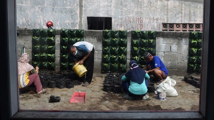 Antusiasme Warga Semarang Ikuti Pelatihan Urban Farming - Bagian 5