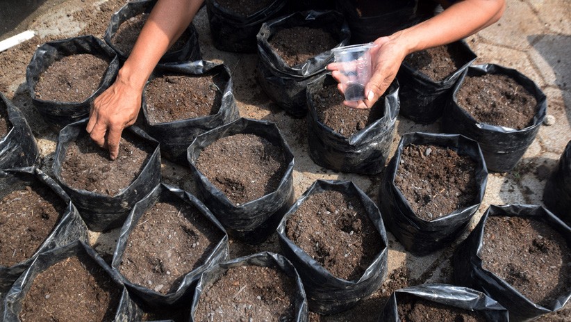 Antusiasme Warga Semarang Ikuti Pelatihan Urban Farming - Bagian 6