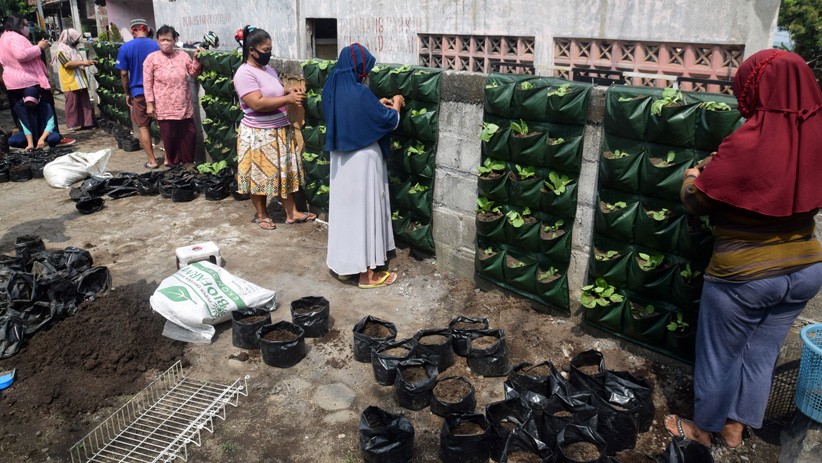 Antusiasme Warga Semarang Ikuti Pelatihan Urban Farming - Bagian 4