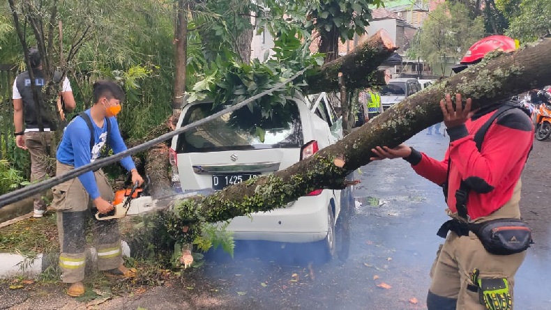 Tertimpa Pohon Tumbang di Jalan Geusan Ulun Bandung, Atap Karimun Rusak
