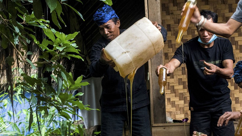 Masyarakat Badui Ramai-Ramai Musnahkan Madu Palsu - Bagian 2