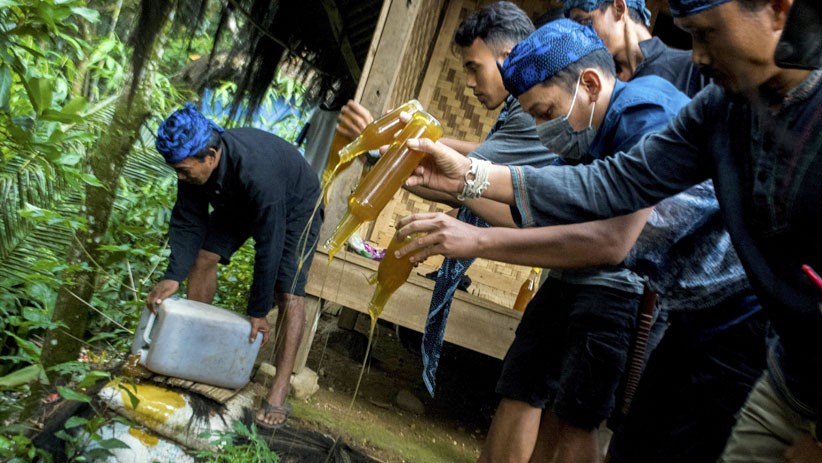 Masyarakat Badui Ramai-Ramai Musnahkan Madu Palsu - Bagian 1
