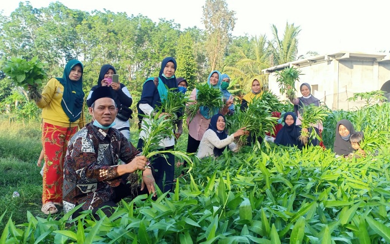 Masa Sulit, Petani Sayur di Prabumulih Harap Bantuan Pemerintah