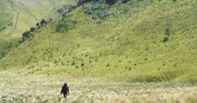 5 Sabana Terindah di Pegunungan Indonesia, Nomor 4 Sebelahan dengan Merapi