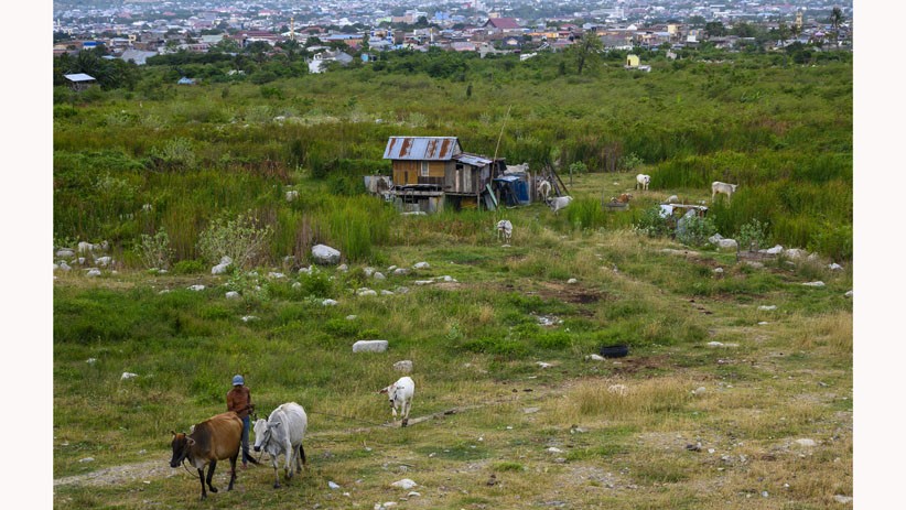 Huntap Belum Terealisasi, Warga Nekat Bangun Rumah di Lokasi Likuefaksi Balaroa - Bagian 2