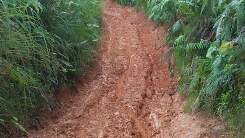 Penampakan Jalan Desa Simartokis Sumut Rusak Parah, Puluhan Tahun Tak Ada Perbaikan - Bagian 4