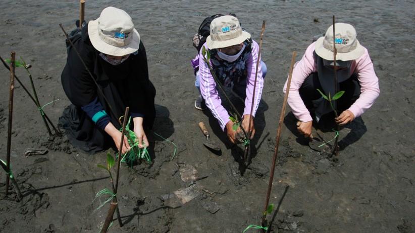 Hari Pohon Sedunia, Relawan Tanam Mangrove dan Bersih-Bersih Pantai Tirang Tapak - Bagian 4