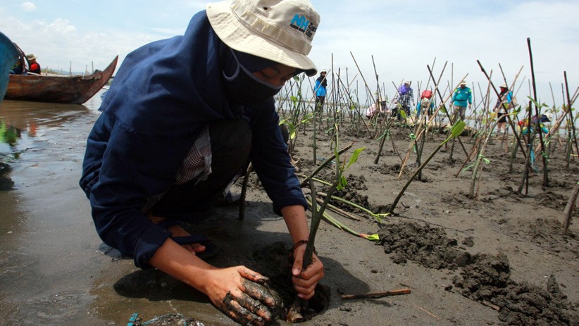 Hari Pohon Sedunia, Relawan Tanam Mangrove dan Bersih-Bersih Pantai Tirang Tapak - Bagian 1