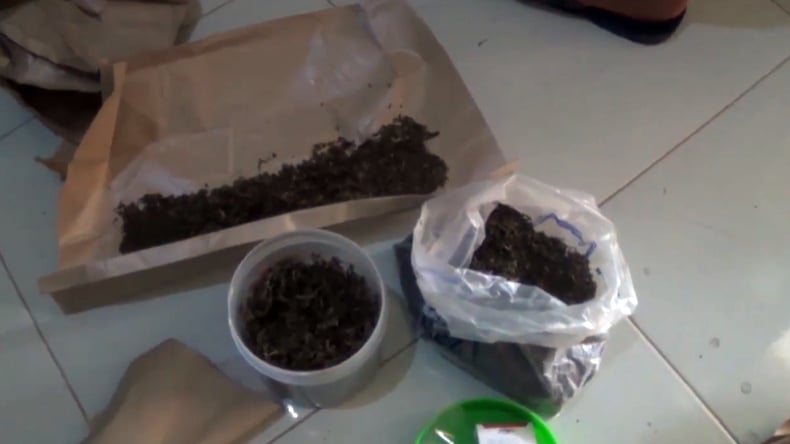 Simpan Ganja di Kandang Ayam, Sopir di Pesisir Selatan Ditangkap Polisi