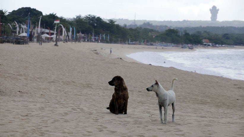 Suasana Sepi Pantai Jimbaran Bali akibat Pandemi - Bagian 5