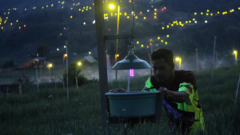 Kendalikan Hama, Petani Bawang Gunakan Lampu untuk Kurangi Pestisida - Bagian 2