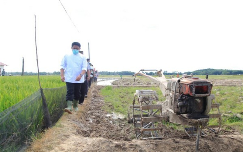 Dongkrak Produksi Pertanian, Herman Deru Resmikan Listrik Masuk Sawah