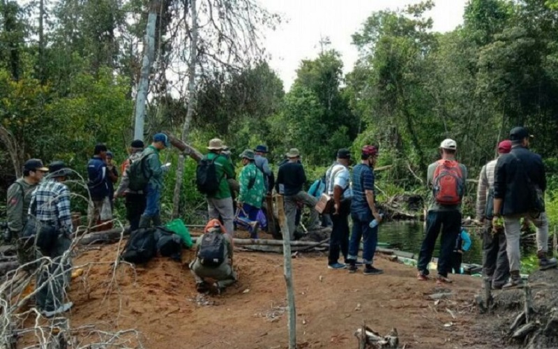 Survei Keberadaan Orangutan di Kalsel, Petugas Kaget Lokasi Sudah Habis Terbakar