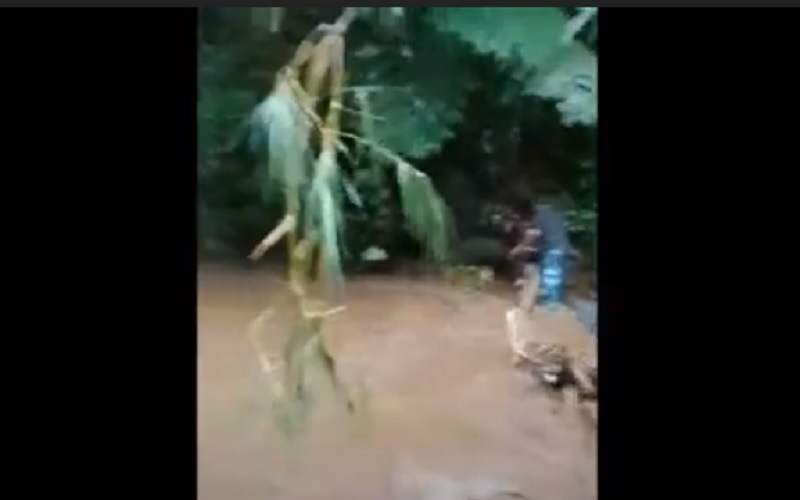 Satu Keluarga di Banyuwangi Terseret Banjir Bandang, Ibu Meninggal, Balita Hilang