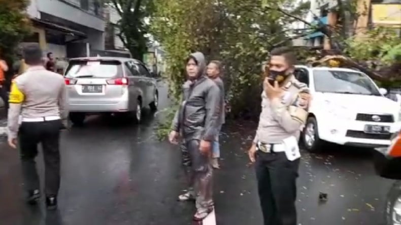 Hujan Deras Disertai Angin Kencang Landa Tasikmalaya, Pohon Tumbang Timpa Mobil