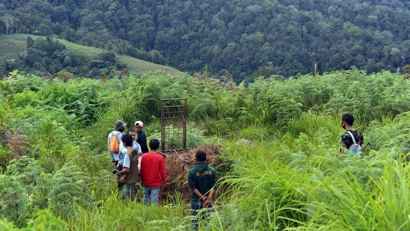 2 Harimau Sumatera Masuk Permukiman, BKSDA Sumbar Pasang Perangkap - Bagian 3