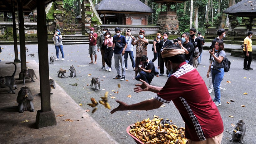 title WNA Dilarang Masuk, Pelaku Pariwisata Bali Diminta Fokus Garap Wisatawan Domestik WNA Dilarang Masuk, Pelaku Pariwisata Bali Diminta Fokus Garap Wisatawan Domestik