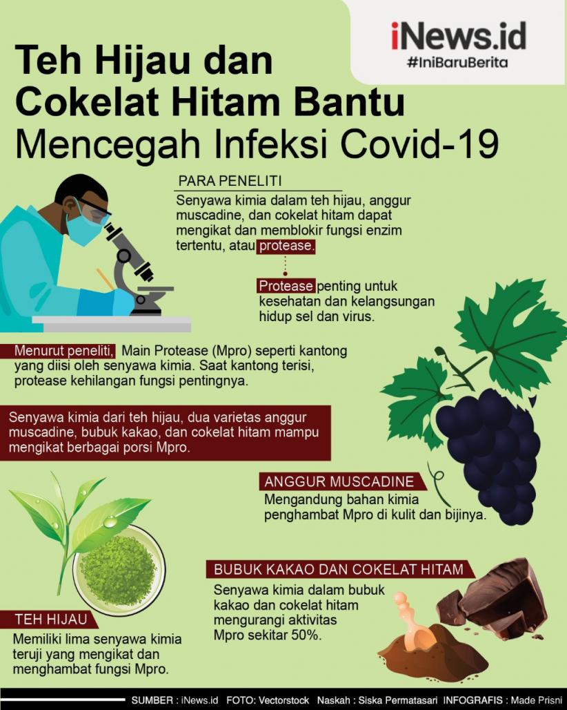 Infografis Teh Hijau Bantu Cegah Infeksi Covid-19