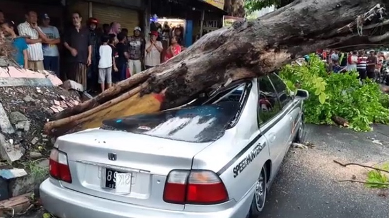 Mobil Sedan Ringsek Tertimpa Pohon Tumbang di Mojokerto, Penumpang Selamat