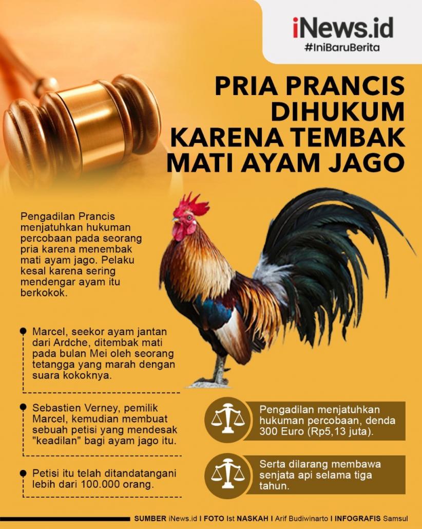 Tembak Mati Ayam Jago Berujung Hukuman dari Pengadilan