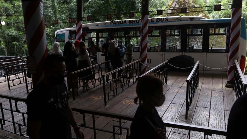 Wisata Taman Safari Indonesia, Kapasitas Pengunjung 50 Persen  - Bagian 5