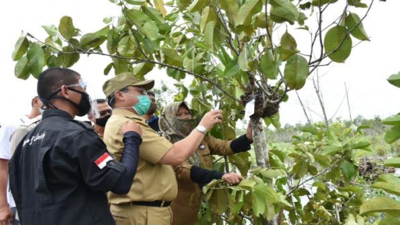 Yuk, Berwisata Seru ke Pulau Anggrek Elsye Lestari Bangka